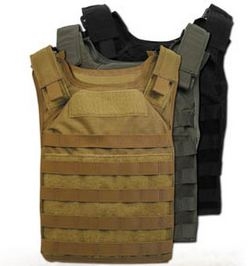 GearGuide Entry:Ultimate Plate Carrier: April 23, 2013